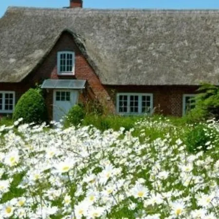Casa de Férias Freistehendes Reetdachhaus Auf Einem Grossen Grundstueck In Ruhiger Umgebung Riepsdorf