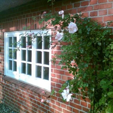 Freistehendes Reetdachhaus Auf Einem Grossen Grundstueck In Ruhiger Umgebung * Riepsdorf