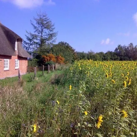 Freistehendes Reetdachhaus Auf Einem Grossen Grundstueck In Ruhiger Umgebung Riepsdorf
