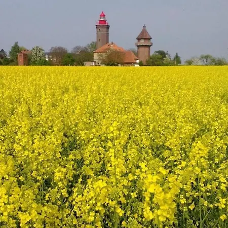 Hébergement de vacances Freistehendes Reetdachhaus Auf Einem Grossen Grundstueck In Ruhiger Umgebung Riepsdorf