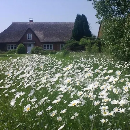 Freistehendes Reetdachhaus Auf Einem Grossen Grundstueck In Ruhiger Umgebung Riepsdorf