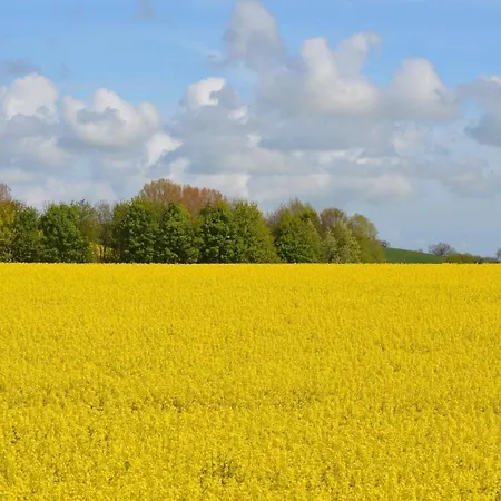 Freistehendes Reetdachhaus Auf Einem Grossen Grundstueck In Ruhiger Umgebung Riepsdorf