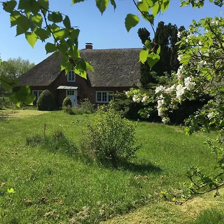 Freistehendes Reetdachhaus Auf Einem Grossen Grundstueck In Ruhiger Umgebung *