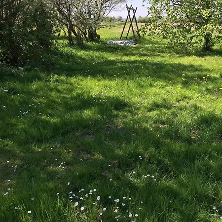 Freistehendes Reetdachhaus Auf Einem Grossen Grundstueck In Ruhiger Umgebung