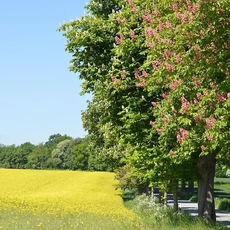 Hébergement de vacances Freistehendes Reetdachhaus Auf Einem Grossen Grundstueck In Ruhiger Umgebung *